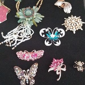 Brooche pins and necklace